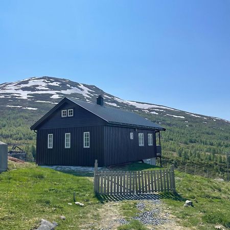 Apartament Bjorgo Gard - Stegastein Aurland Zewnętrze zdjęcie