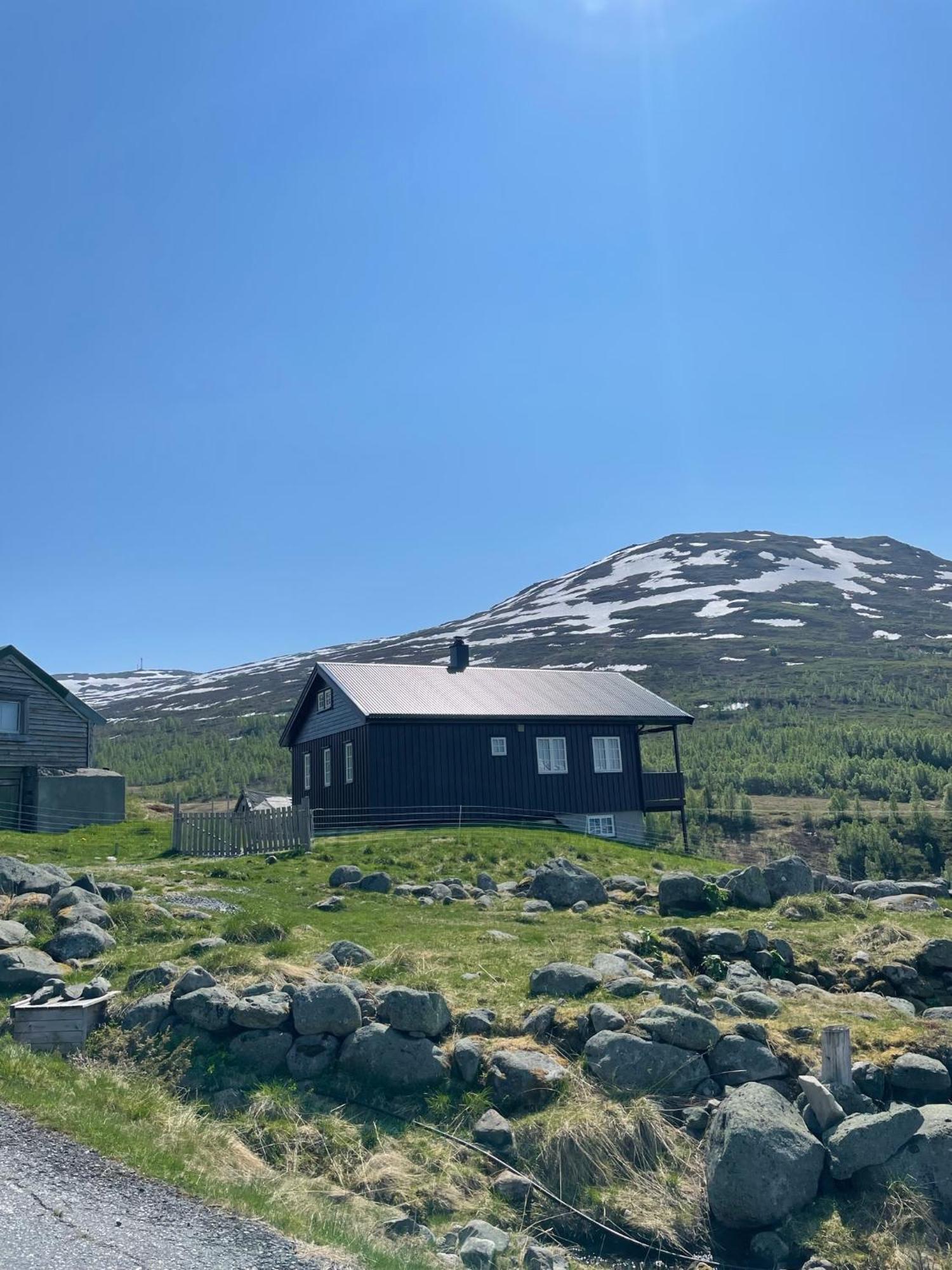 Apartament Bjorgo Gard - Stegastein Aurland Zewnętrze zdjęcie