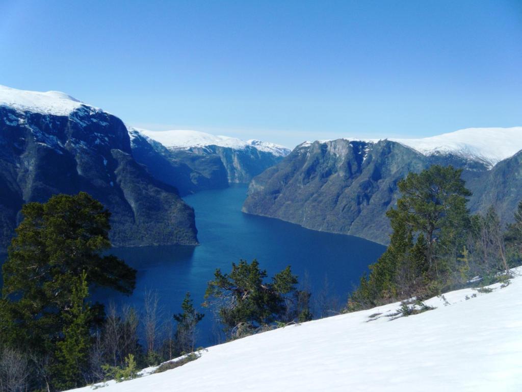 Apartament Bjorgo Gard - Stegastein Aurland Zewnętrze zdjęcie