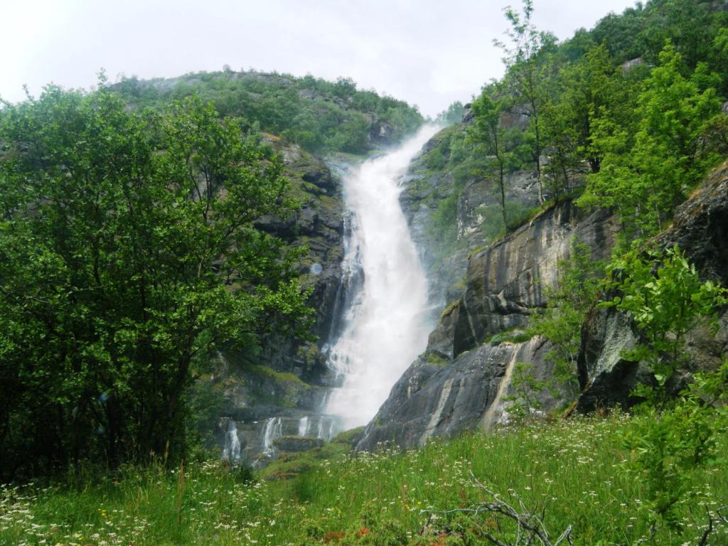 Apartament Bjorgo Gard - Stegastein Aurland Zewnętrze zdjęcie