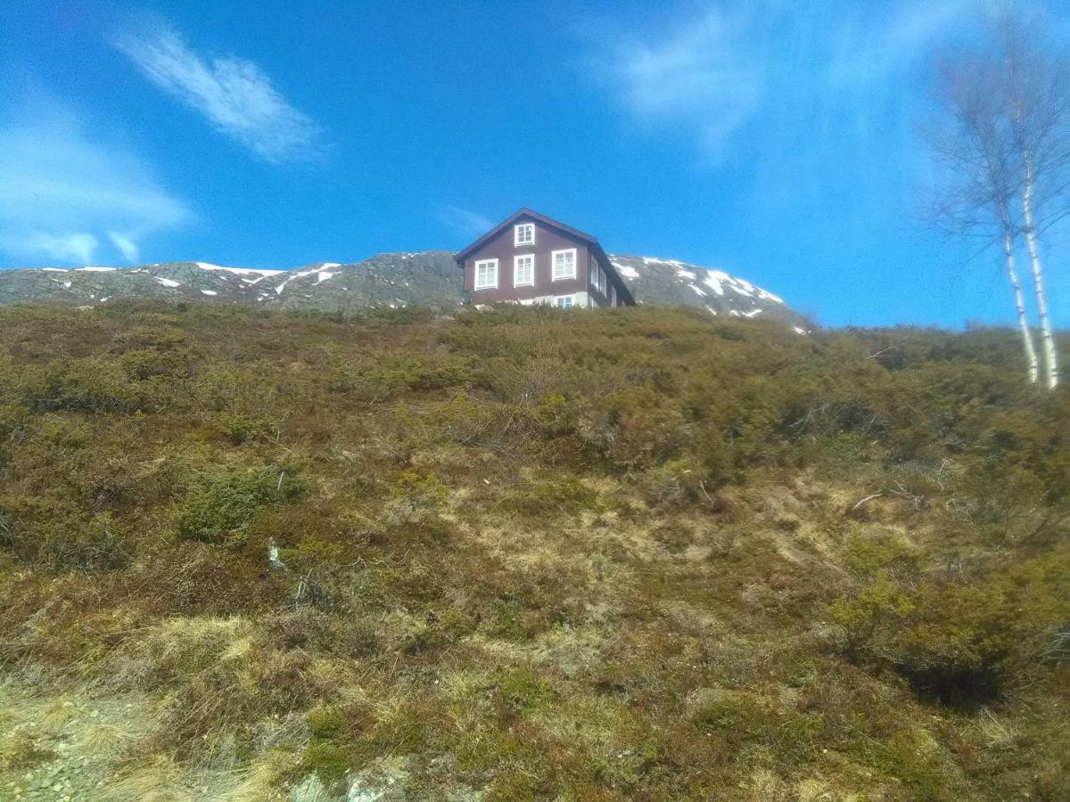 Apartament Bjorgo Gard - Stegastein Aurland Zewnętrze zdjęcie